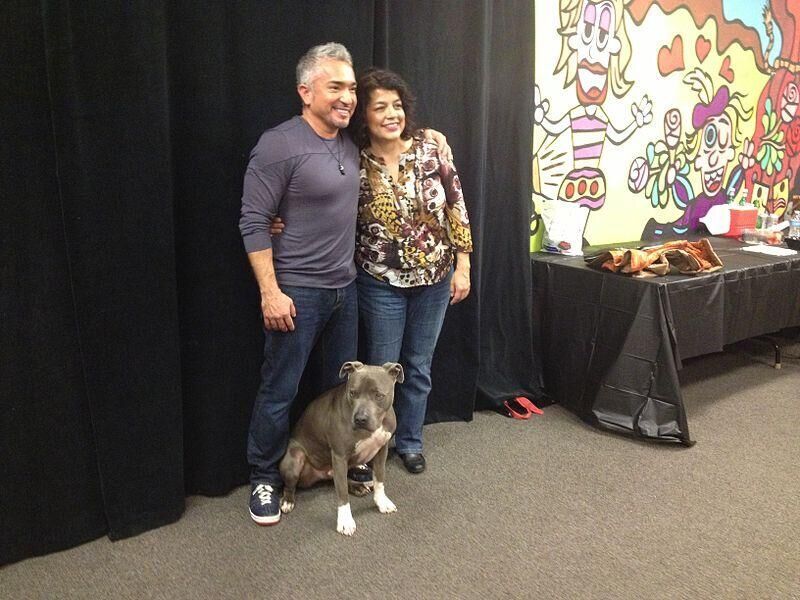 #37. Dog Whisperer with Cesar Millan
